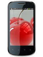 Best available price of Celkon A19 in Italyraine