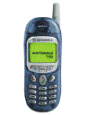 Best available price of Motorola T190 in Italyraine