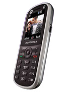 Best available price of Motorola WX288 in Italyraine