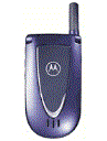 Best available price of Motorola V66i in Italyraine
