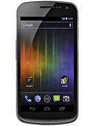 Best available price of Samsung Galaxy Nexus I9250 in Italyraine